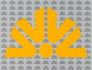 winds logo 