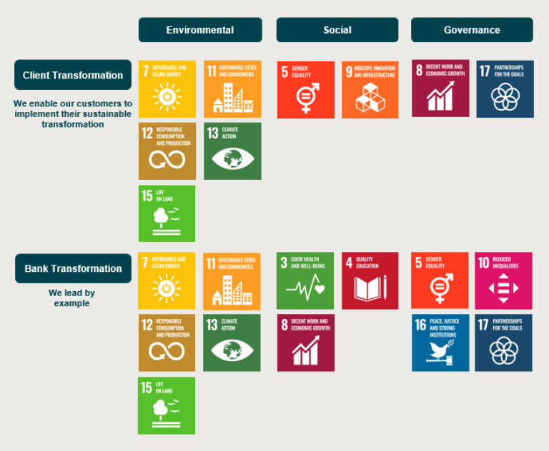 Overview SDG Strategy