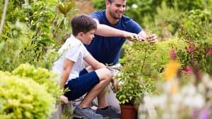 Vater und Sohn schneiden gemeinsam Pflanzen zurecht.