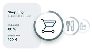Beispiel für monatliche Budgets: Kategorie "Shopping" mit einem Budget von 500 € pro Monat. Davon sind 80 % verbraucht, also bleiben noch 100 € für den restlichen Monat.