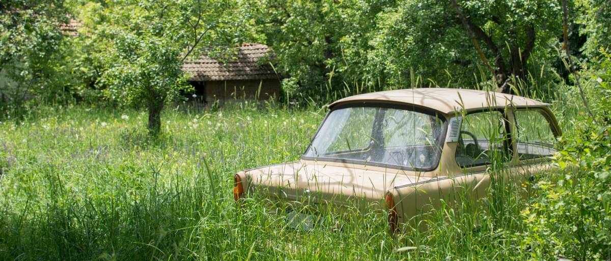 Ein altes Auto steht in einem wildgewachsenen Garten. -  Kosten Auto abmelden