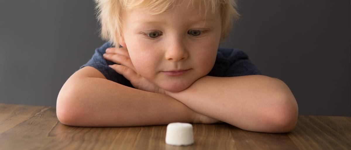 Ein Kind beobachtet einen Marshmallow, der auf dem Tisch vor ihm liegt.