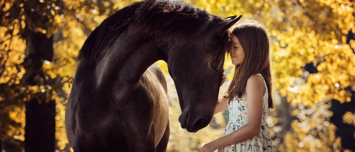 Ein Mädchen im Kleid schmiegt ihr Gesicht an den Kopf eines dunkelbraunen Pferdes vor einer gelben, herbstlichen Umgebung. -  Anschaffungskosten Pferd