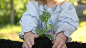 Ein kleines Mädchen pflanzt einen Sprössling in einen Haufen Erde ein.