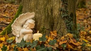 Eine weiße Engelsfigur und eine Kerze stehen an einem Baum gelehnt auf einem Waldgrab, umgeben von Efeu und heruntergefallenem Laub.