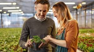 Zwei Geschäftspartner:innen stehen in einer Gärtnerei