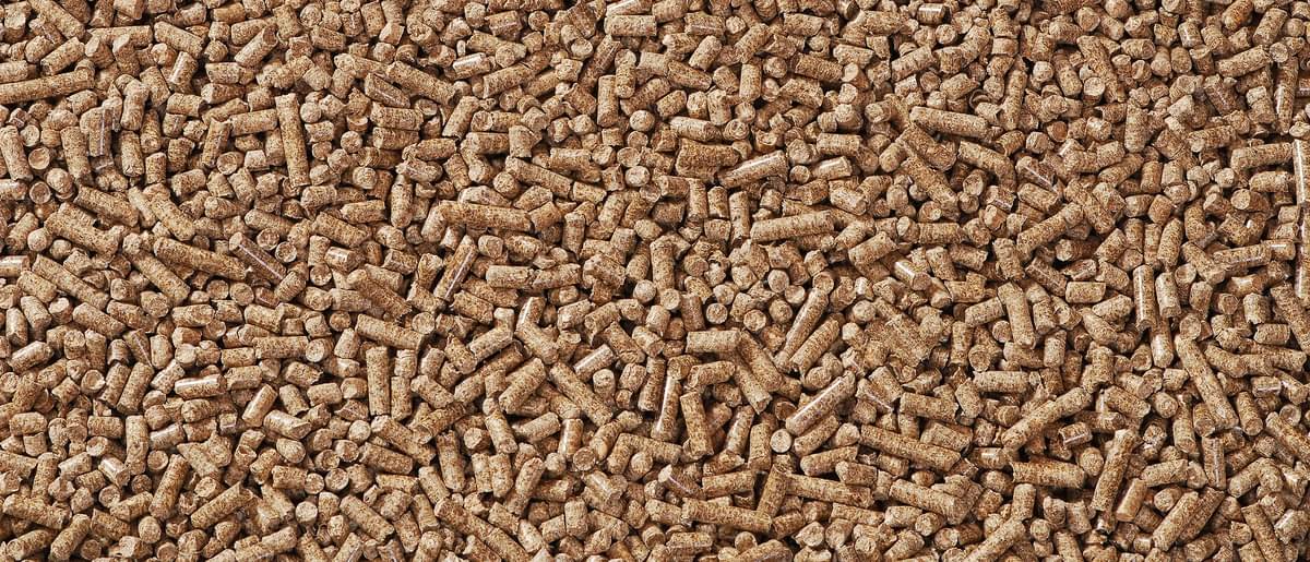 Pellets einer Pelletheizung - Pelletheizung Kosten