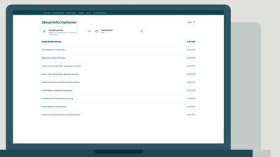 Video Thumbnail: Steuerinformationen einsehen